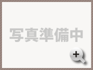 全景